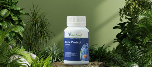 (Báo Dân Việt) - Hỗ trợ giải độc gan hiệu quả bằng viên uống Liver Protect của Úc
